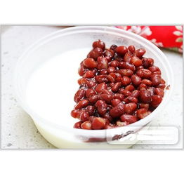 檸檬皇后 產(chǎn)品 產(chǎn)品介紹 最新產(chǎn)品信息