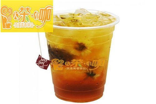 大茶小咖加盟 加盟費多少 加盟條件 盟招網(wǎng)